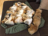 Natural Fox Fur Green Parka