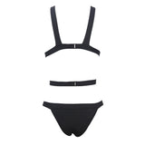 DANIKA Mesh Cut Out One Piece Black Bikini